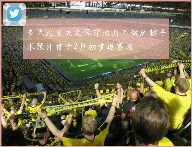 多夫比克决定保守治疗不做肌腱手术预计将于2月初重返赛场