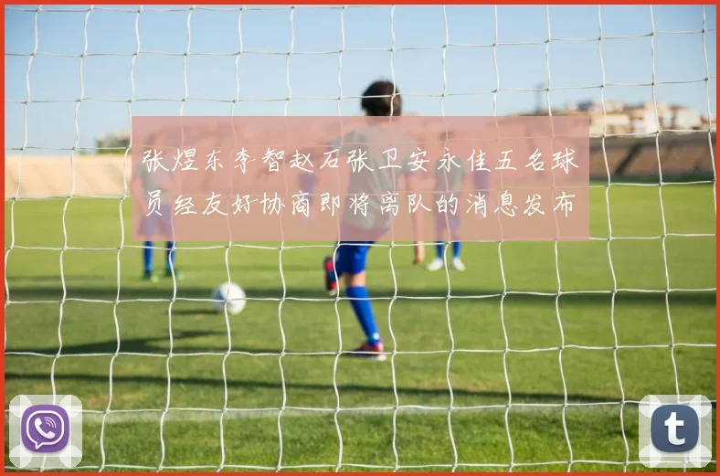 张煜东李智赵石张卫安永佳五名球员经友好协商即将离队的消息发布